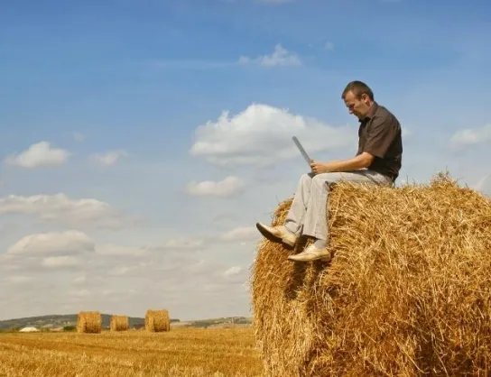 Ubezpieczenia rolne – dlaczego warto pomyśleć o nich wiosną