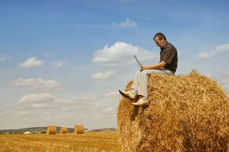 Ubezpieczenia rolne – dlaczego warto pomyśleć o nich wiosną